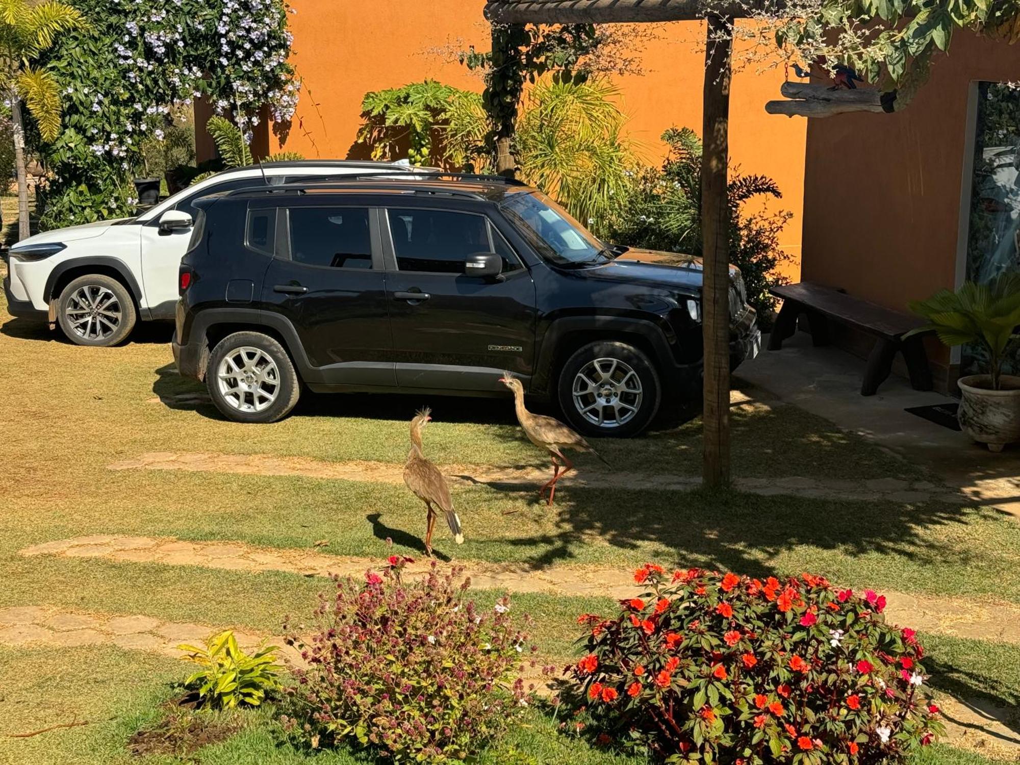 Pousada Guardiã da Canastra Vargem Bonita Exterior foto